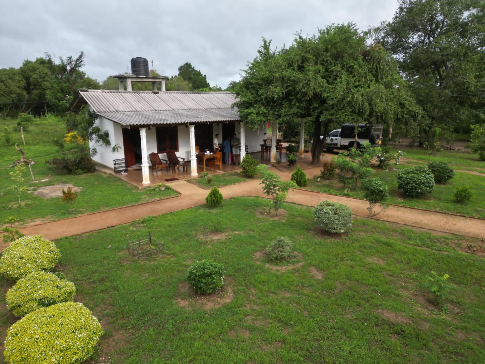 Sigiri Arana Sigiriya Hotel Exterior foto