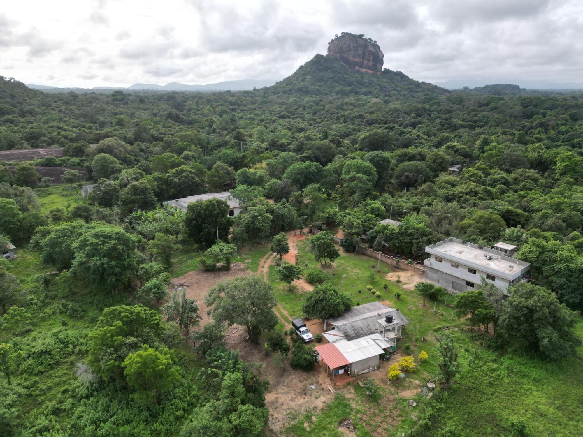 Sigiri Arana Sigiriya Hotel Exterior foto